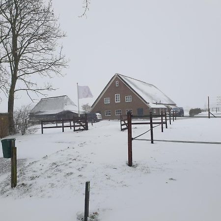 AneveldeLandelijk Gelegen Boerderij Aan De Pothofwegアパートメント エクステリア 写真